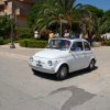 Montevago 2010 (245)